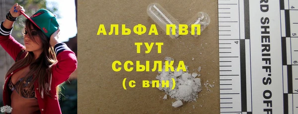гашик Аркадак