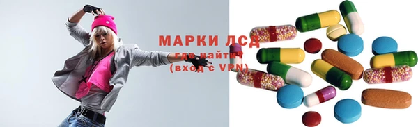 гашик Аркадак