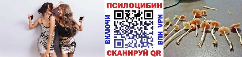 Псилоцибиновые грибы Psilocybe  Темрюк 